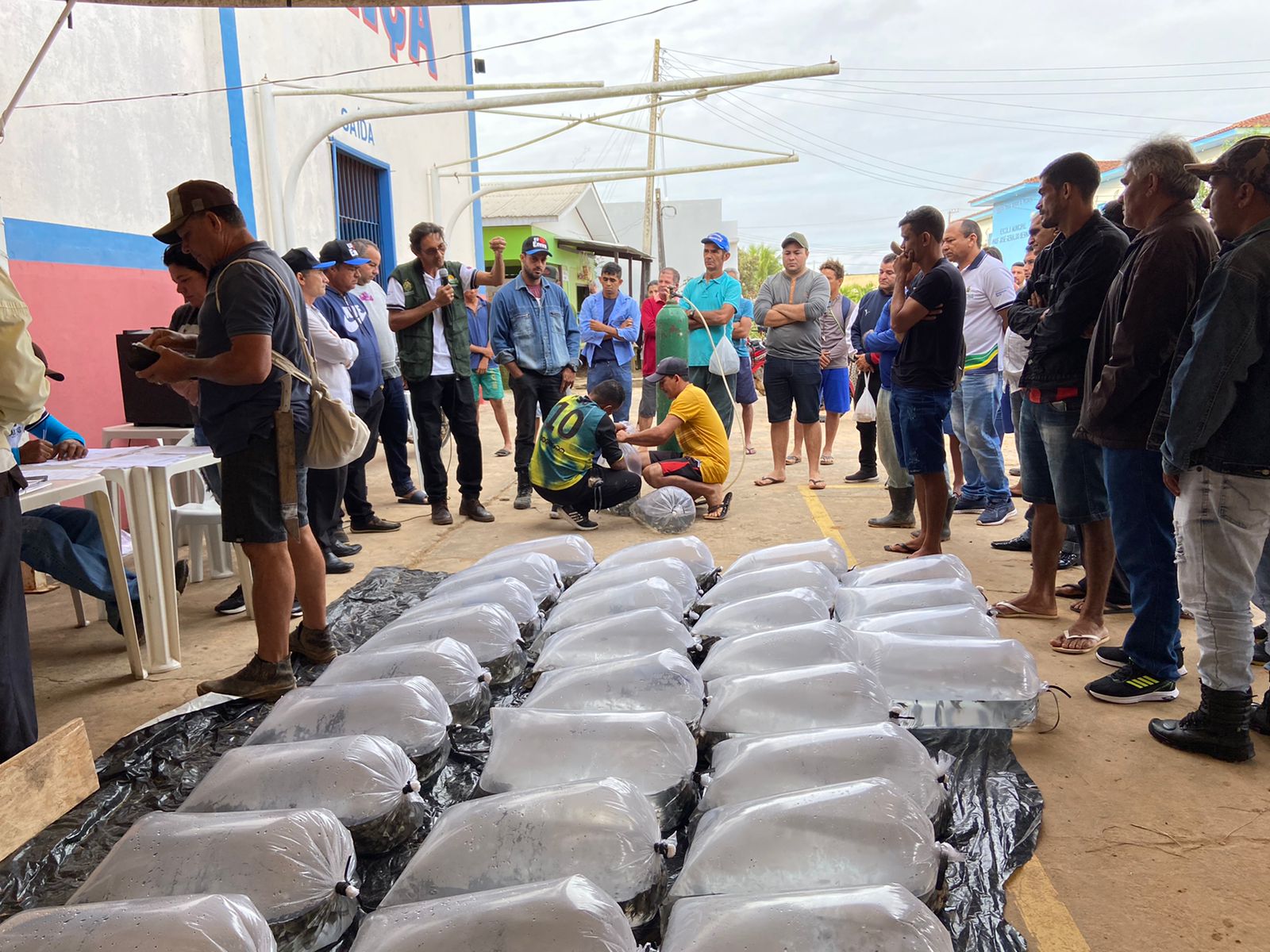 Prefeitura de Envira entrega 50 mil alevinos de tambaqui para produtores
