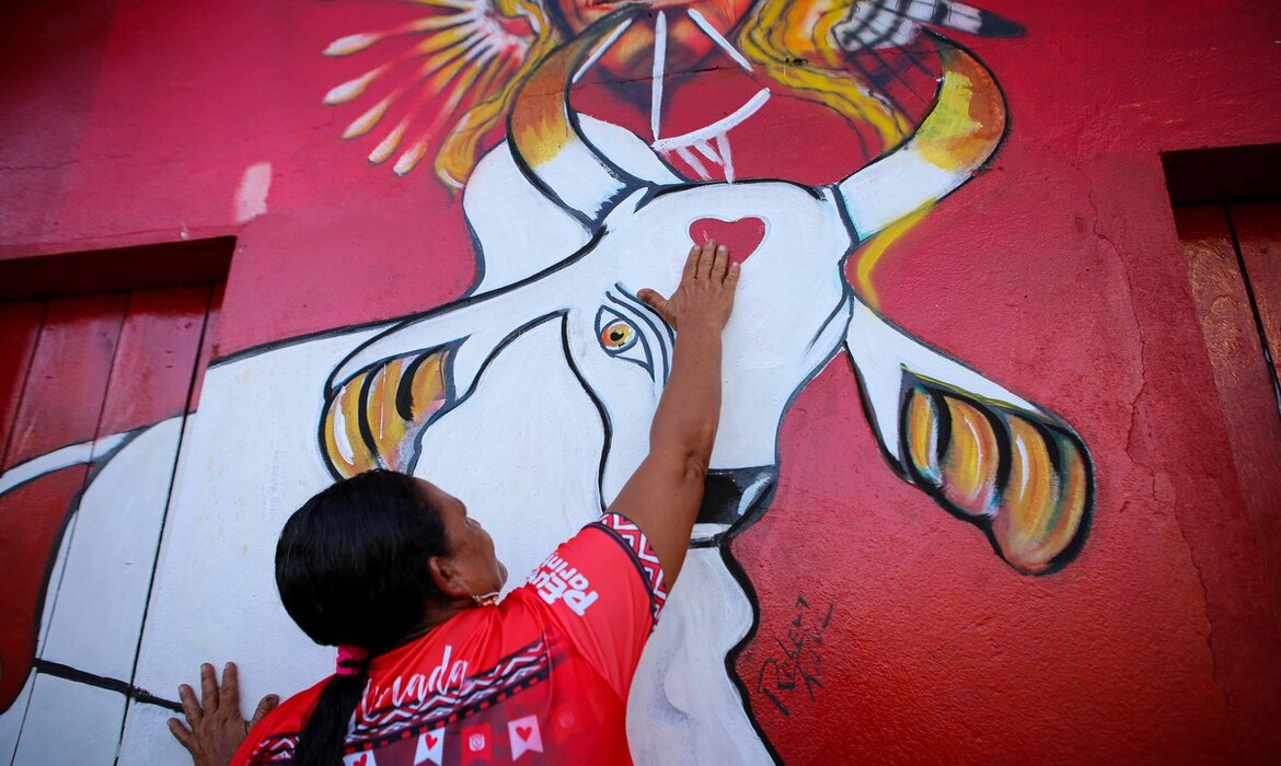Festival de Parintins: Casa de torcedores apaixonados pelos bumbás atraem os olhares de visitantes