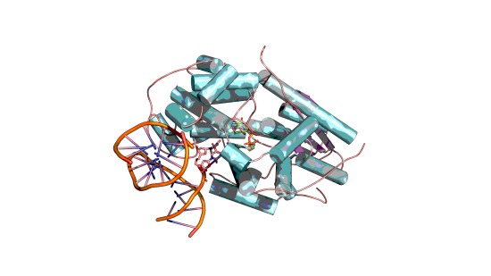 Inovação é capaz de reparar o DNA celular e reverter danos solares.
